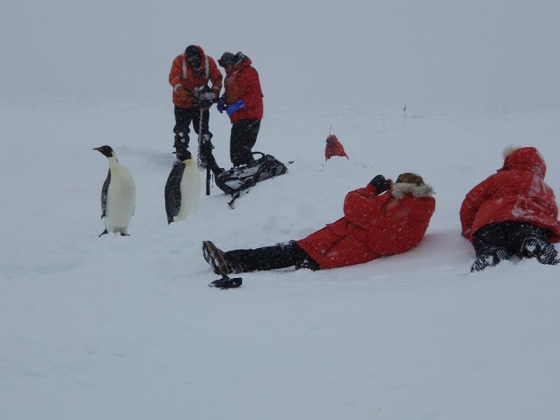 Sarah captures a moment while Blake, Mike, and John drill 1.JPG